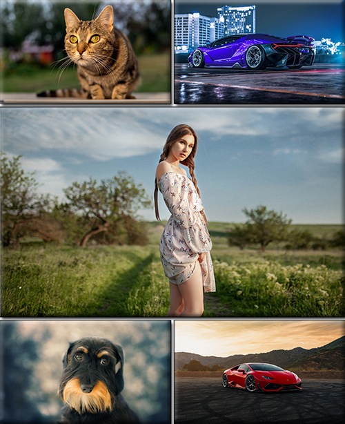LIFEstyle News MiXture Images. Wallpapers Part (1735)