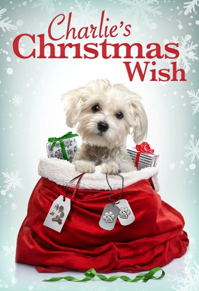 Charlies Christmas Wish 2020 720p WEBRip x264-GalaxyRG