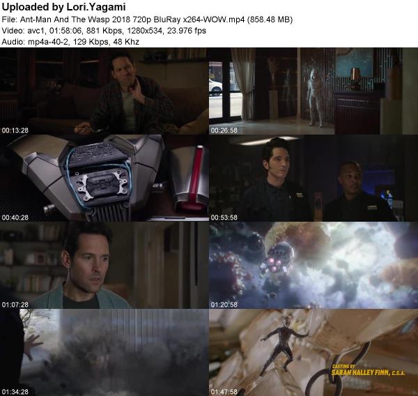 Ant-Man And The Wasp 2018 720p BluRay x264-WOW