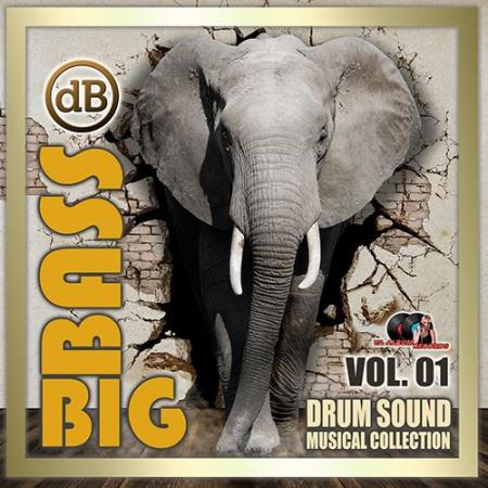 Big Bass: Drum Sound Musical Collection Vol.01 (2020)