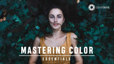 Mastering Color Essentials Course