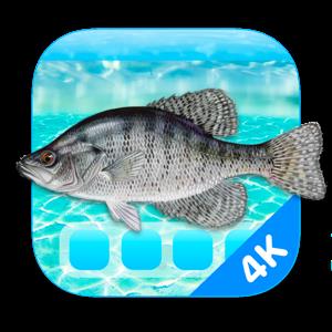 Aquarium 4K - Live Wallpaper 1.0.4 macOS