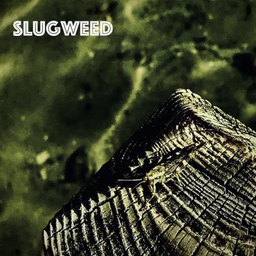 SlugWeed - Internal (2020)