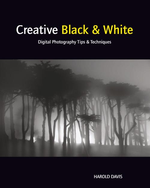 Creative Black And White Digital Photography Tips And Techniques