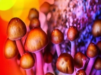 Вживання галюциногенних грибів, як засобу від депресії