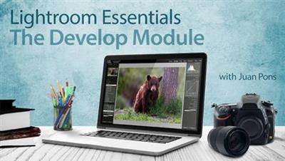 Lightroom Essentials: The  Develop Module