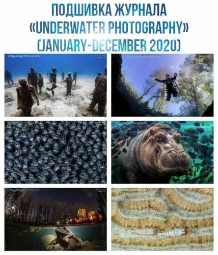 Подшивка журнала «Underwater Photography» (January-December 2020)