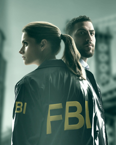 Федеральное бюро расследований / ФБР 3 сезон 1, 2, 3, 4, 5, 6, 7, 8 серия (2020) FBI (сериал смотреть онлайн)
