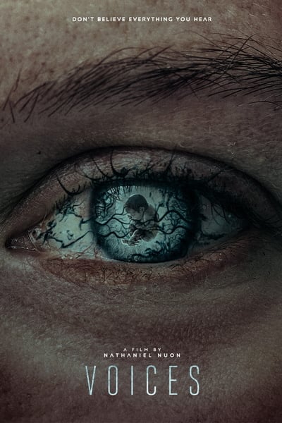 Voices 2020 WEB-DL XviD MP3-FGT