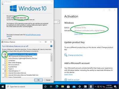Windows 10 Pro 20H2 10.0.19042.630 (x86/x64) Preactivated Multilingual November 2020