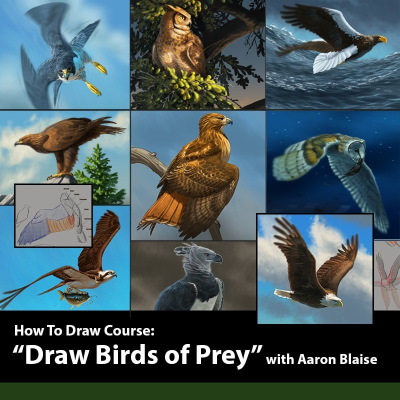 Aaron Blaise - How to Draw Birds of Prey 2020 TUTORiAL