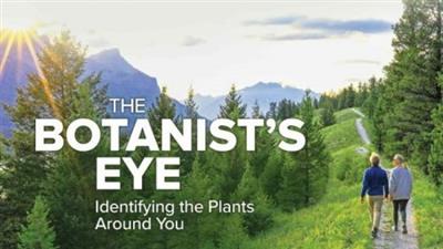 TTC - The Botanist's Eye Identifying the Plants around You