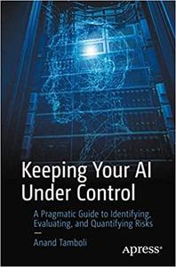 Keeping Your AI Under Control A Pragmatic Guide to Identifying, Evaluating, and Quantifying Risks
