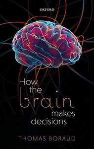 How the Brain Makes Decisions