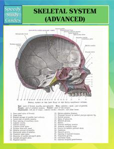 Skeletal System (Advanced) (Speedy Study Guides)