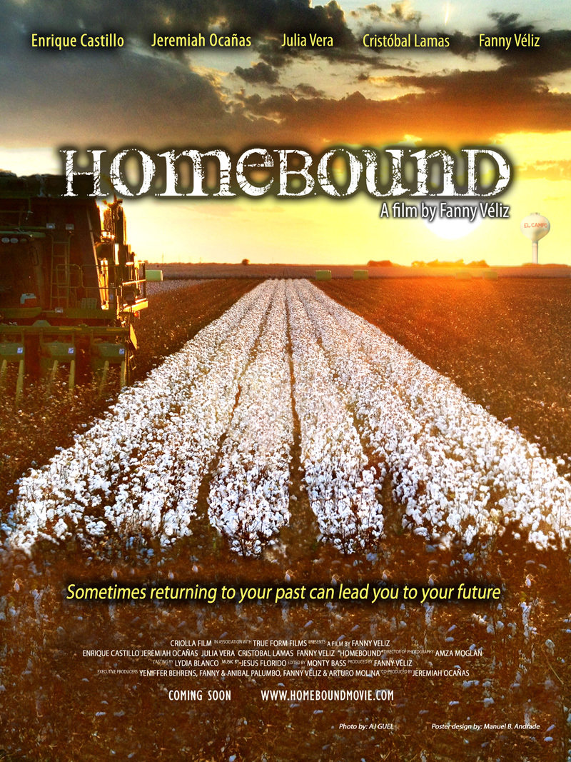 Homebound 2013 WEBRip x264-ION10