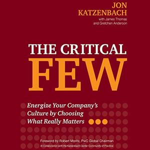 The Critical Few Energize Your Company's Culture by Choosing What Really Matters [Audiobook]