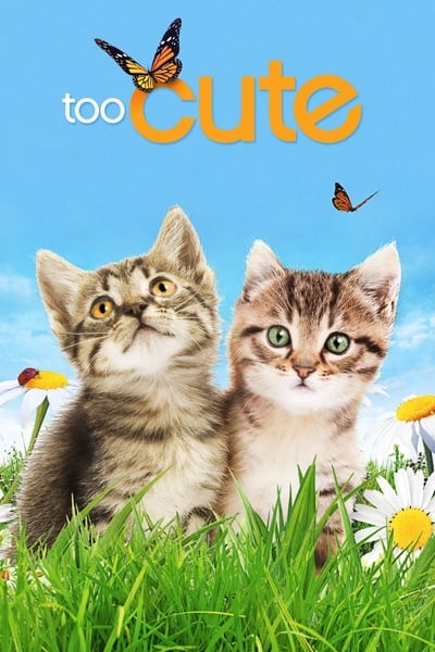 Too Cute S03E11 Kitten Beauties 1080p HULU WEB-DL AAC2 0 H 264-TEPES