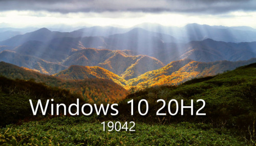 Windows 10 20H2 Compact v.19042.630 (x64) by Flibustier ( 11.11.2020) 