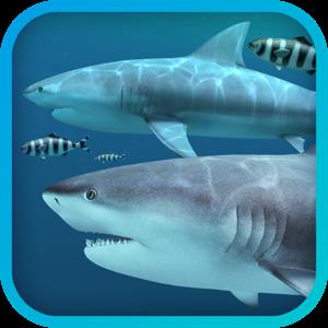 Sharks 3D 2.0.4 macOS