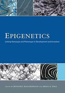 Epigenetics Linking Genotype and Phenotype in Development and Evolution