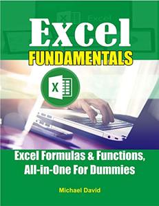 Excel Fundamentals  Excel Formulas and Functions All-in-One For Dummies