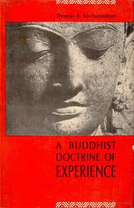 A Buddhist Doctrine of Experience