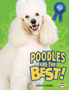 Poodles Are the Best! (The Best Dogs Ever)