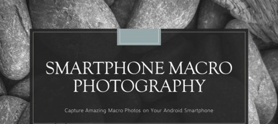 How to Take Amazing Macro Photos with Your Smartphone!