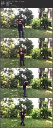 Sparring Tai Chi-Chen New Frame Routine 2 for Fitness