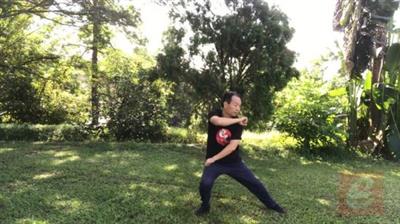 Sparring Tai Chi-Chen New Frame Routine 2 for Fitness