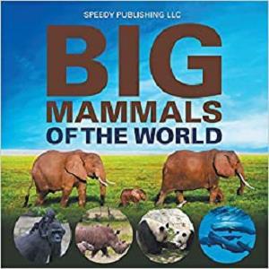 Big Mammals Of The World