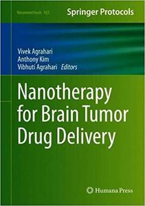 Nanotherapy for Brain Tumor Drug Delivery 163