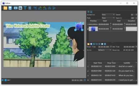 Video Watermark Subtitle Creator Professional Edition 4.0.7.0 Multilingual