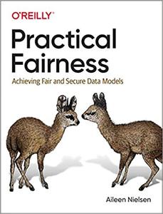 Practical Fairness Achieving Fair and Secure Data Models