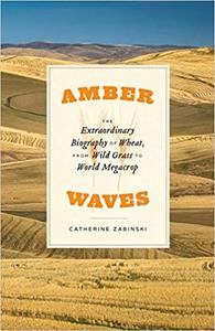 Amber Waves The Extraordinary Biography of Wheat, from Wild Grass to World Megacrop