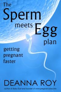 The Sperm Meets Egg Plan Getting Pregnant Faster
