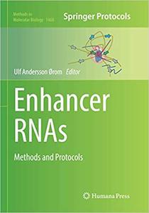 Enhancer RNAs Methods and Protocols