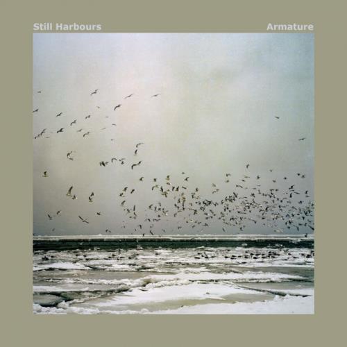 Still Harbours - Armature (2020)