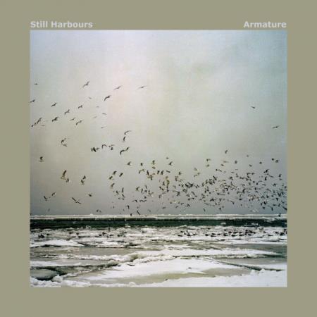 Still Harbours - Armature (2020)