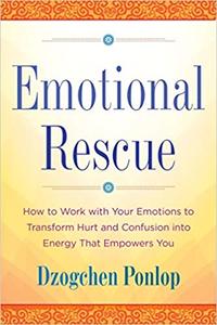 Emotional Rescue How to Work with Your Emotions to Transform Hurt and Confusion into Energy That ...