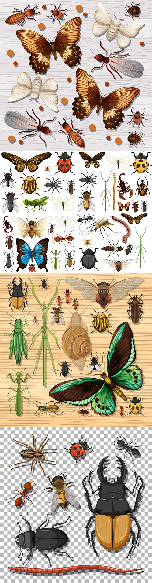 Set of different insects on background of white wooden wallpaper
