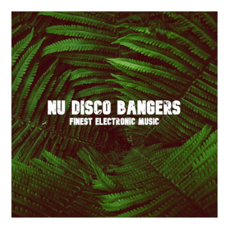 VA - Nu Disco Banger (2020)
