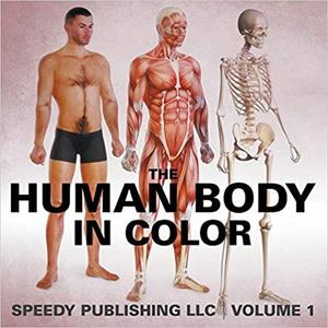 The Human Body In Color