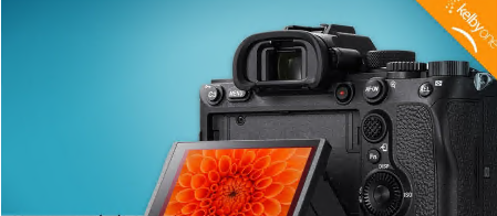 Hands On with the Sony A7R4/A92 : Everything you Need to Know to Get Great Shots