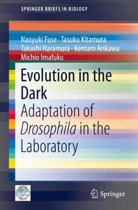 Evolution in the Dark Adaptation of Drosophila in the Laboratory 