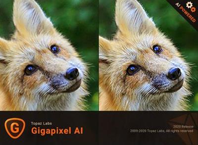 Topaz Gigapixel AI 5.3.2 (x64)