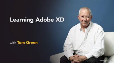 Lynda - Learning Adobe XD (2021)