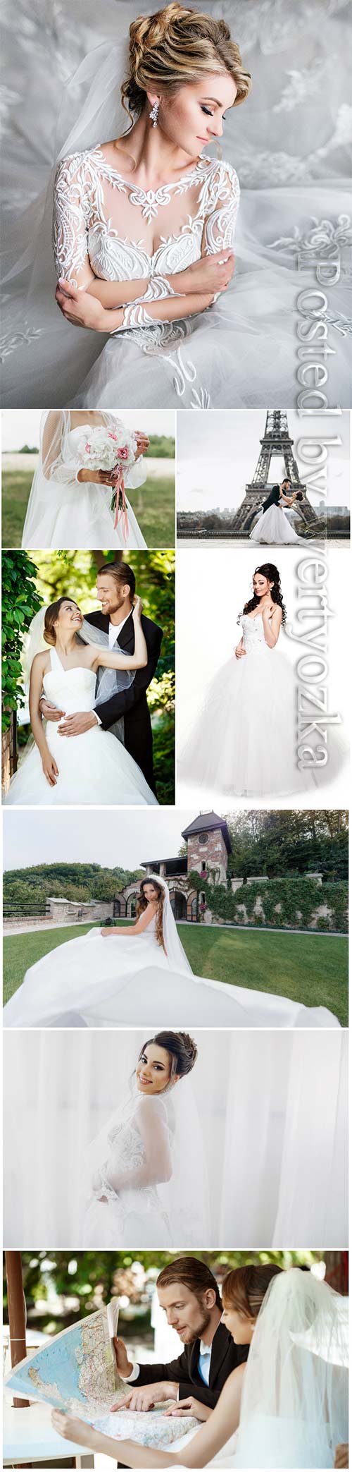 Brides in luxurious dresses and handsome men stock photo