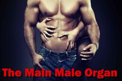 The Main Male Organ